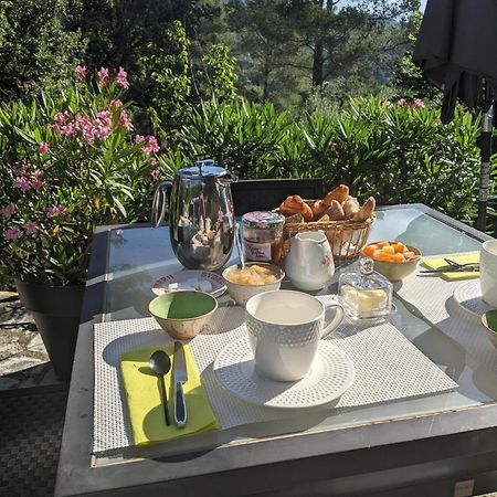 Le Clos Sous Le Chemin Seillans Exterior foto